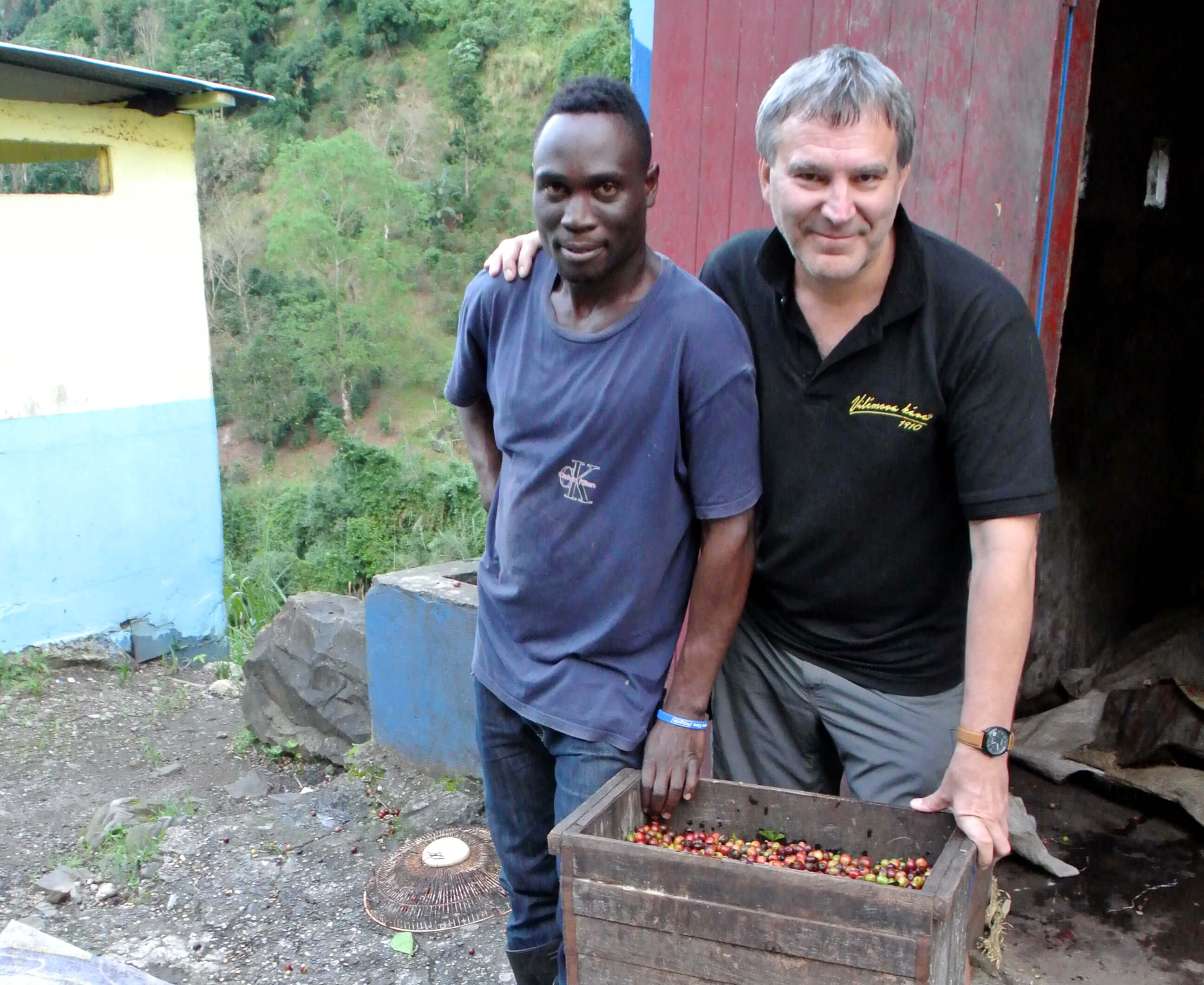 Sběr kávy z malé plantáže na Jamajce
